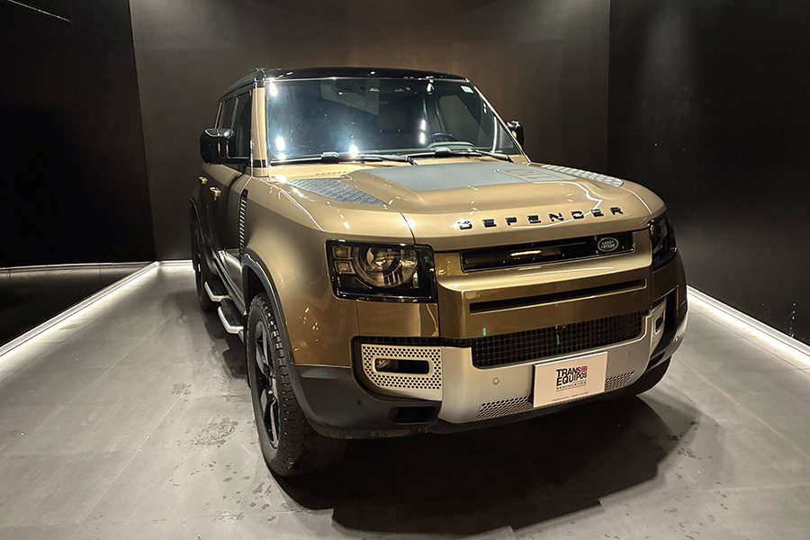 DEFENDER 110 D300 HSE